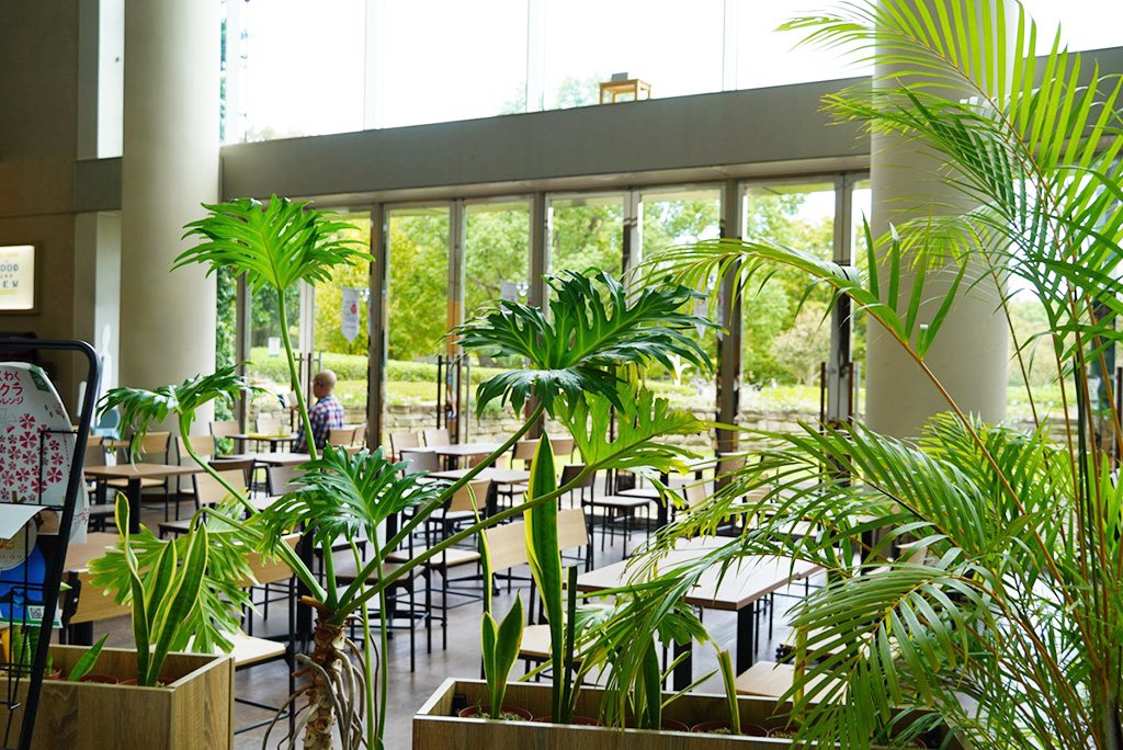 ごはんとのみもの THE GOOD AND NEW　店内/ボウケンノモリNAGAI（大阪府/大阪市）