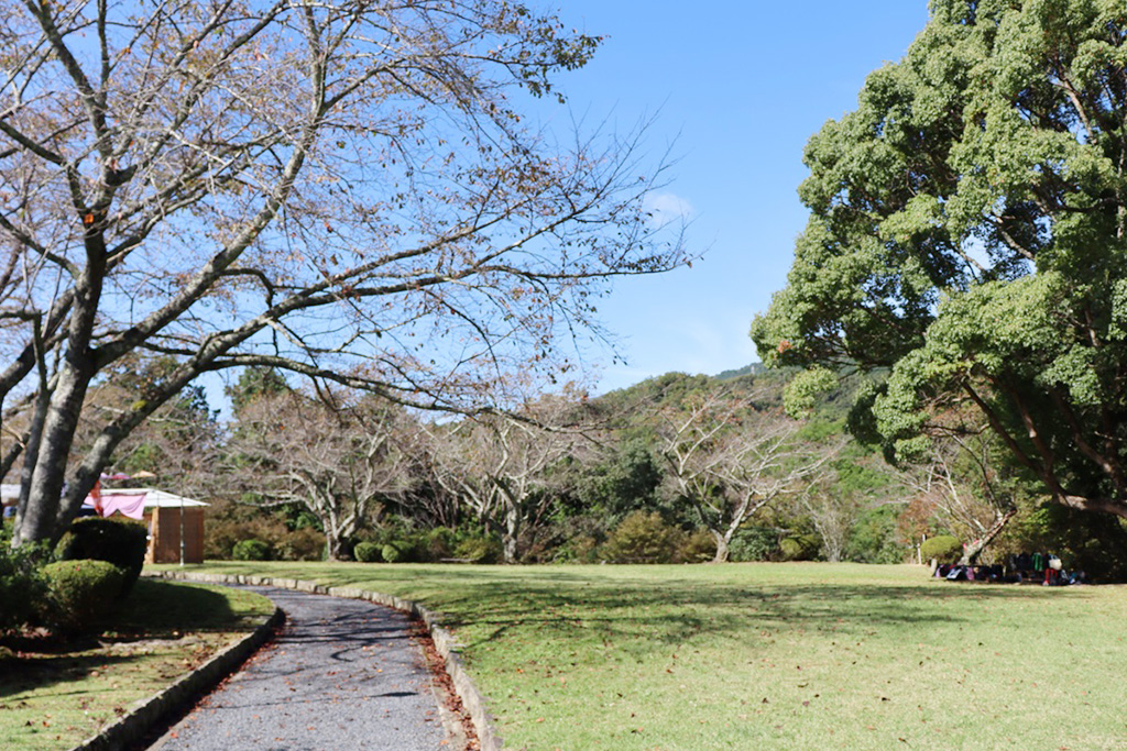 芝生広場/杉村公園(和歌山県/橋本市)