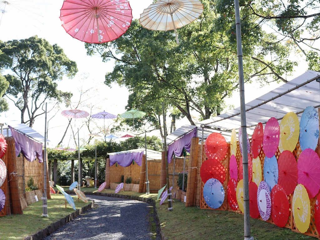 2024年菊花展会場/杉村公園(和歌山県/橋本市)