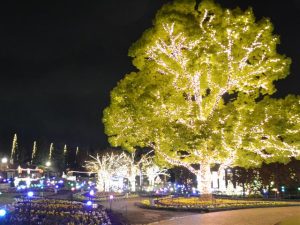 【2025年】名古屋・愛知のイルミネーション16選!子連れにおすすめの遊園地や無料の公園など