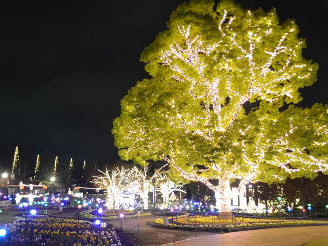 デンパーク ウィンターフェスティバル（愛知県／安城市）