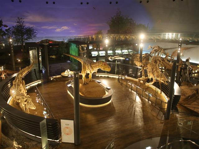 展示室1F「恐竜の世界」/福井県立恐竜博物館 （福井県/勝山市）