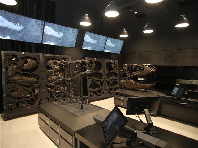 化石研究体験室/福井県立恐竜博物館 （福井県/勝山市）