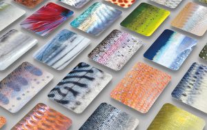 兵庫・アトアで「さかなかるた展」開催 ウロコの凹凸まで再現された「さかなかるた」の拡大展示で色彩やきらめきを体感