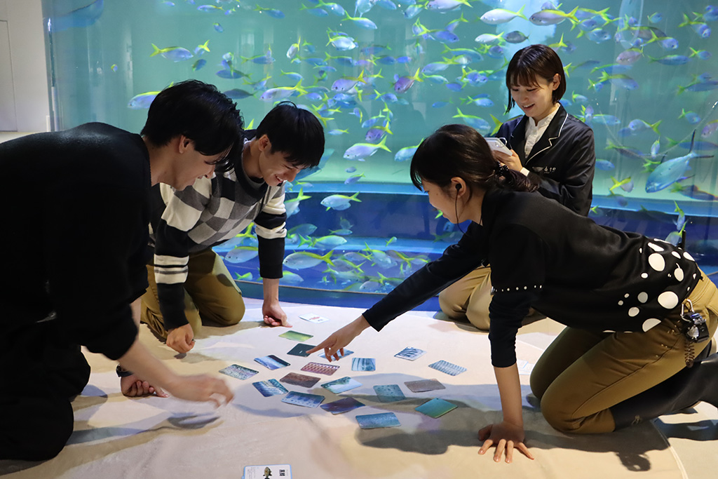 「さかなかるた大会」/さかなかるた展（兵庫県/神戸市）