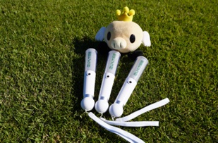 「東京ドイツ村オリジナルペンライト」/東京ドイツ村ドローンショー(千葉県/袖ケ浦市)