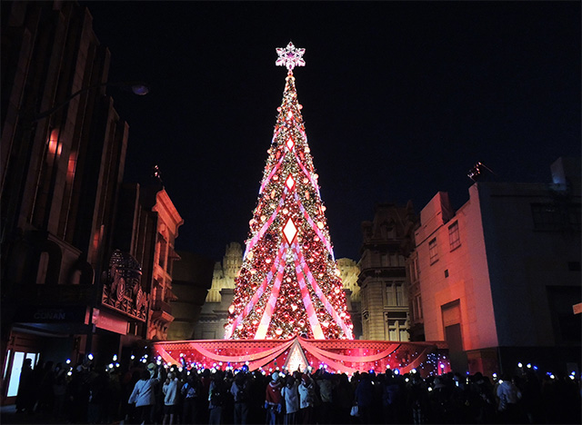 クリスマスツリーツリー点灯式の様子/ユニバーサル・スタジオ・ジャパン「NO LIMIT! クリスマス」(大阪府/大阪市)