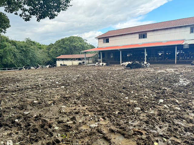 淡路島牧場（兵庫県南/あわじ市）