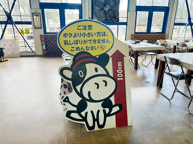 乳しぼり体験の身長制限/淡路島牧場（兵庫県南/あわじ市）