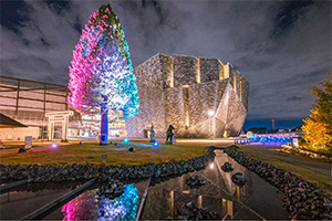 冬のライトアップ2024-2025（埼玉県/所沢市）