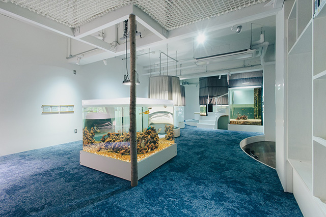 「みなとやま水族館」靴を脱いで上がるエリア/NATURE STUDIO(ネイチャースタジオ)(兵庫県/神戸市)