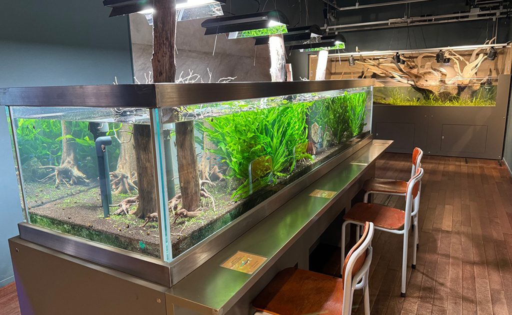 水槽 TenNobu 180519_80132551_01-1024x630.jpg