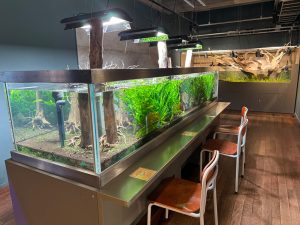 みなとやま水族館・ニジマス釣りが人気のNATURE STUDIOをレポ！子連れランチも充実