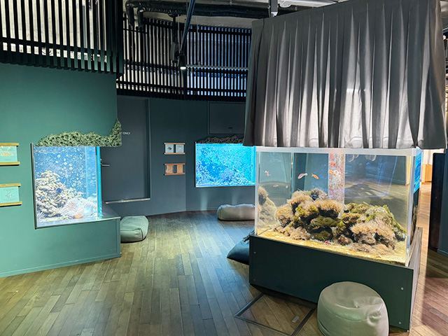 「みなとやま水族館」館内/NATURE STUDIO(ネイチャースタジオ)(兵庫県/神戸市)