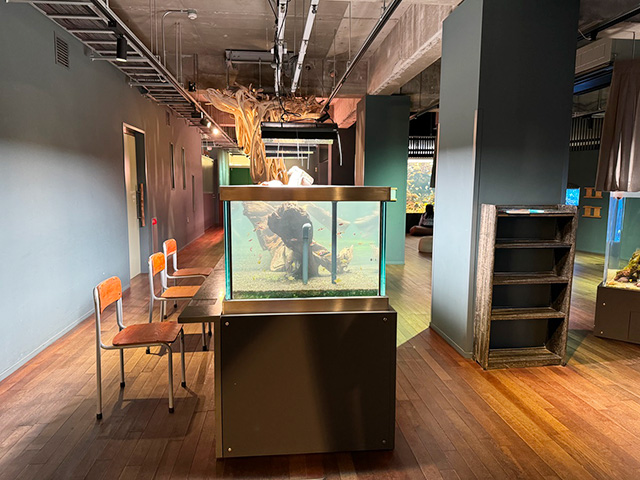 「みなとやま水族館」館内/NATURE STUDIO(ネイチャースタジオ)(兵庫県/神戸市)