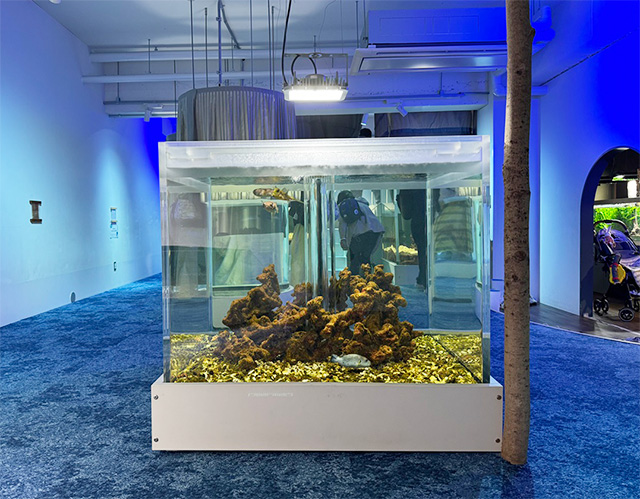 「みなとやま水族館」靴を脱いで上がるエリア/NATURE STUDIO(ネイチャースタジオ)(兵庫県/神戸市)