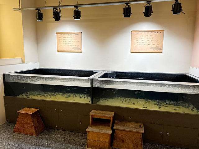 /NATURE STUDIO(ネイチャースタジオ)(兵庫県/神戸市)