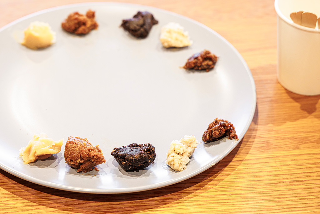 5種類の味噌/「食べて学んでおうちで観察 みそづくり体験教室 るるぶKids体験便」
