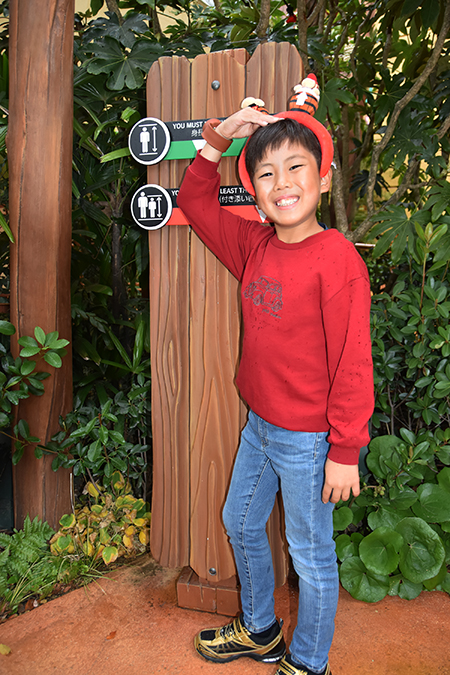 入口にある身長測定装置/ユニバーサル・スタジオ・ジャパン「ドンキーコング・カントリー」(大阪府/大阪市)