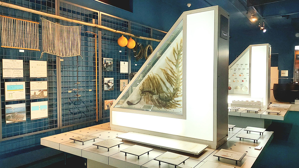 岩手県立水産科学館の館内（岩手県/宮古市）