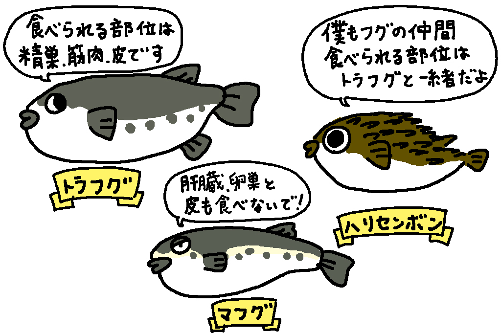山口県の特産品「ふぐ」の種類