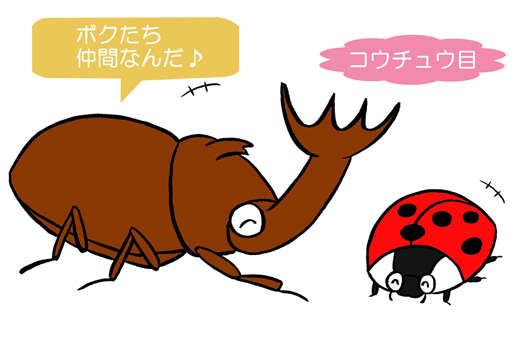 カブトムシとてんとう虫のイラスト