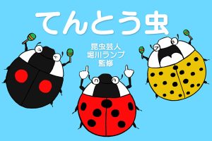 てんとう虫を観察しよう！幼虫時代や種類・名前の由来・食べ物などを徹底解説