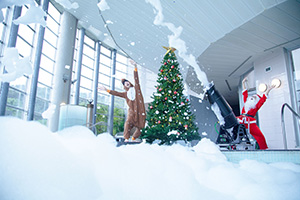 里山ウィンターナイト2024 in O Park OGOSE（埼玉県/入間郡越生町）