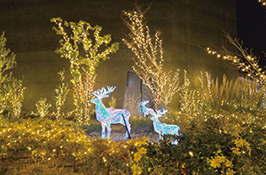 NEW SEAPORTナイトライト2024-2025 (兵庫県/神戸市)