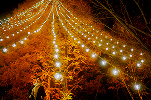 神戸クリスマスマーケット2024 (兵庫県/神戸市)