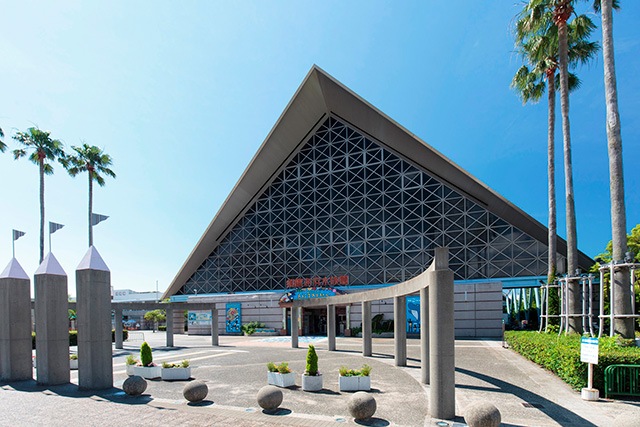 前身の神戸市立須磨海浜水族園（兵庫県/神戸市）