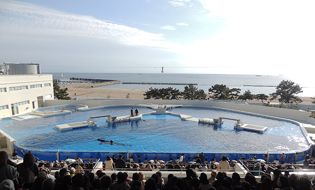 「オルカスタディアム」の客席から/神戸須磨シーワールド（兵庫県/神戸市）