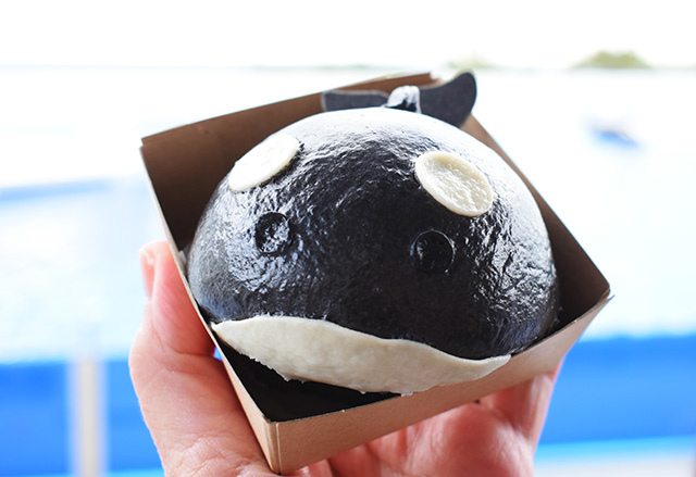 しゃちまん /神戸須磨シーワールド（兵庫県/神戸市）