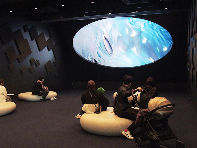 シャチの映像が見られる「オルカホール」/神戸須磨シーワールド（兵庫県/神戸市）