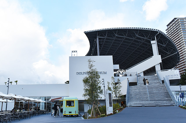 イルカがいる「ドルフィンスタディアム」/神戸須磨シーワールド（兵庫県/神戸市）