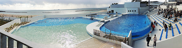 「ドルフィンスタディアム」のプールとドルフィンビーチ/神戸須磨シーワールド（兵庫県/神戸市）