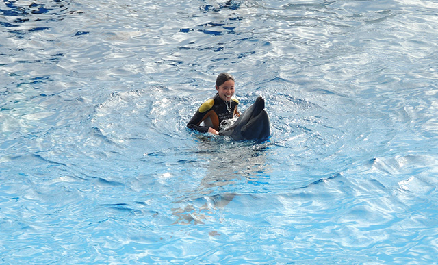 ドルフィンパフォーマンスの様子/神戸須磨シーワールド（兵庫県/神戸市）
