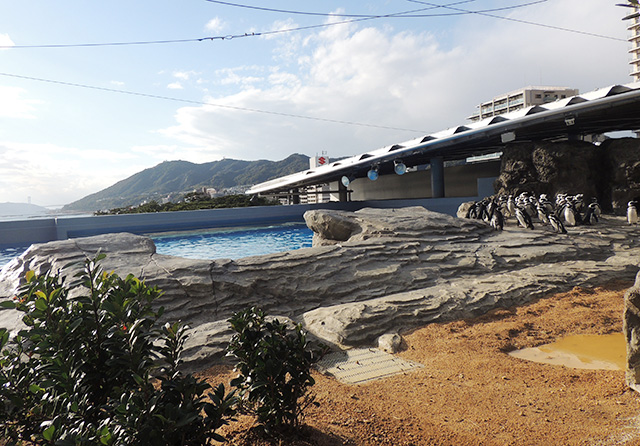 4階屋上エリア/神戸須磨シーワールド（兵庫県/神戸市）