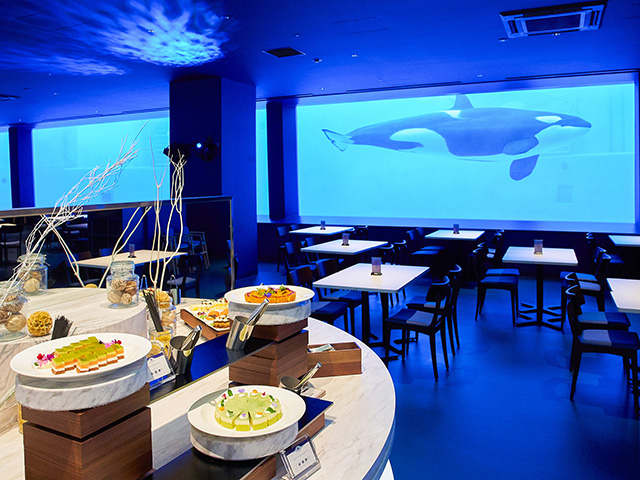 ブルーオーシャン オルカスタディアム/神戸須磨シーワールド（兵庫県/神戸市）