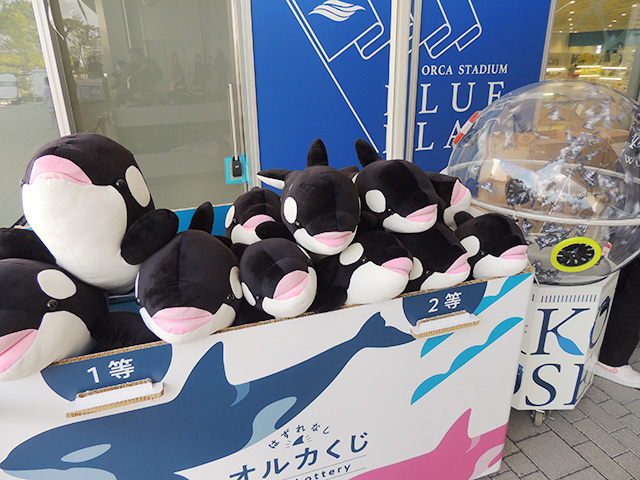 オルカくじ/神戸須磨シーワールド（兵庫県/神戸市）