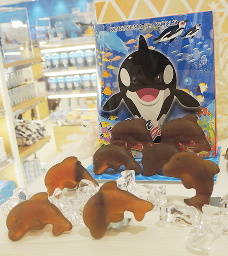 シャチにそっくりなコーラグミ/神戸須磨シーワールド（兵庫県/神戸市）