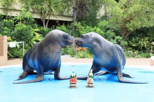 東京・サンシャイン水族館「お正月2025」開催　エイからのお年玉がもらえる⁈ 　お正月限定、縁起の良い生物たちに会える！