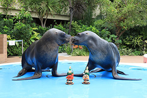 サンシャイン水族館のお正月2025(東京都/豊島区)