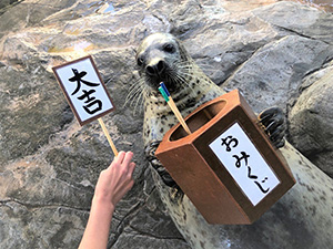 しな水のお正月2025(東京都/品川区)