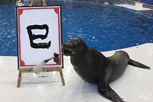 新春アクアワールド2025（茨城県/大洗町）