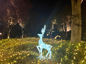 TWINKLE PARK(東京都/新宿区)