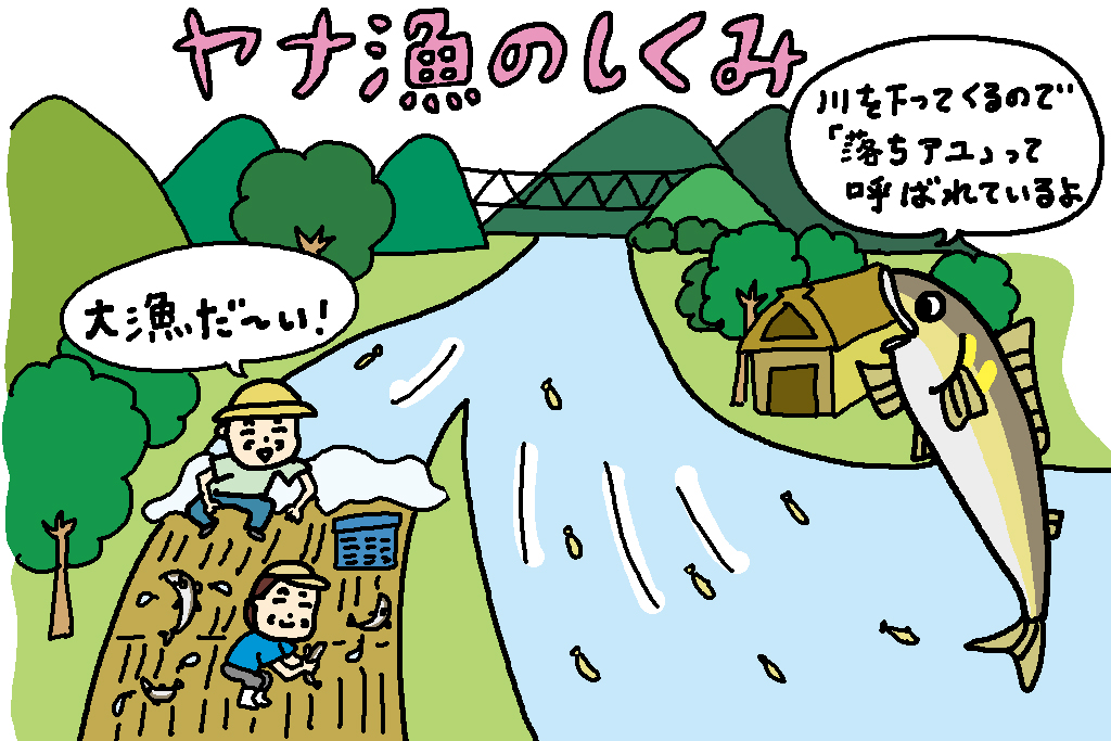 ヤナ漁のしくみ/岐阜県の特産品「アユ」