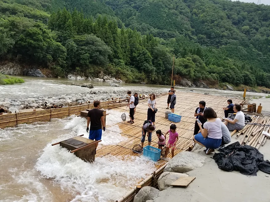 天然鮎みやちか（岐阜県／郡上市）