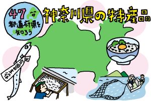 神奈川県の特産品おもしろ雑学｜シラスって何？小さくても栄養たっぷりの万能食材！