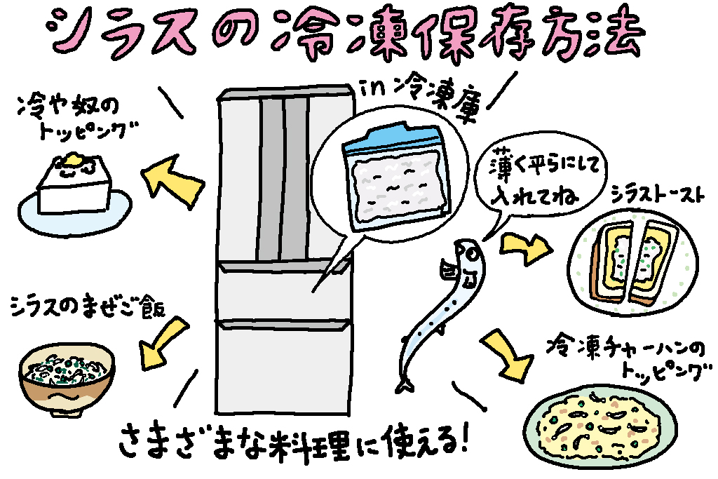 シラスの冷凍保存方法/神奈川県の特産品「シラス」